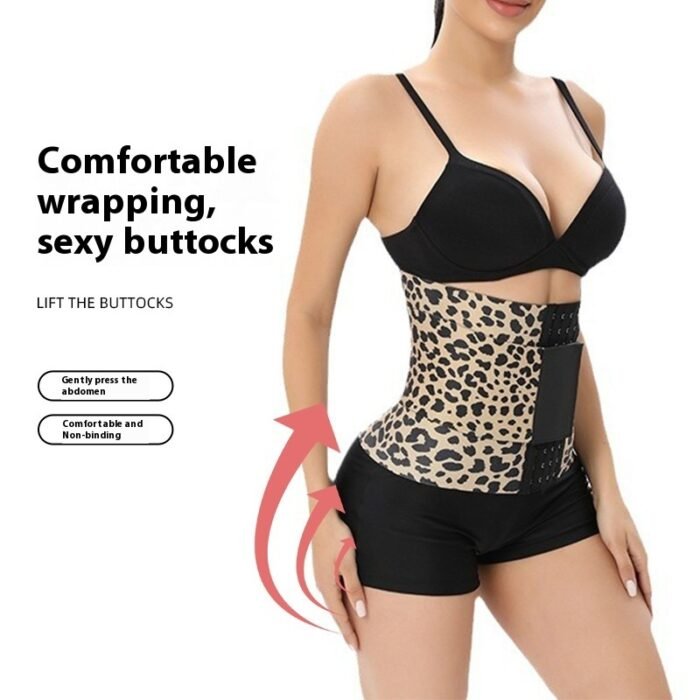 b9de050a-a32d-4558-b288-ffa630a0dc0d_trans.jpeg b9de050a-a32d-4558-b288-ffa630a0dc0d_trans.jpeg